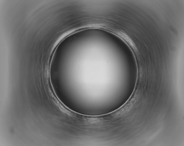 X0000115691436200911121258