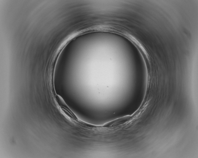 X0000115691437200911121258