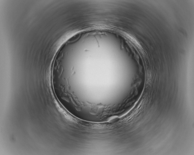 X0000115691439200911121258