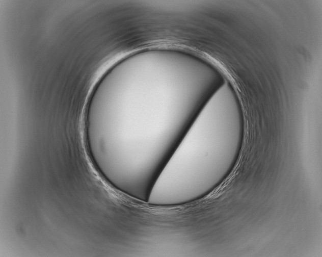 X0000115691440200911121258