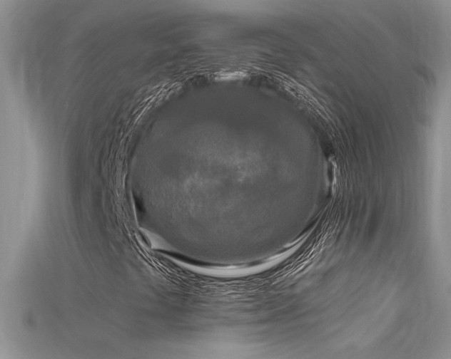 X0000115691441200911121257