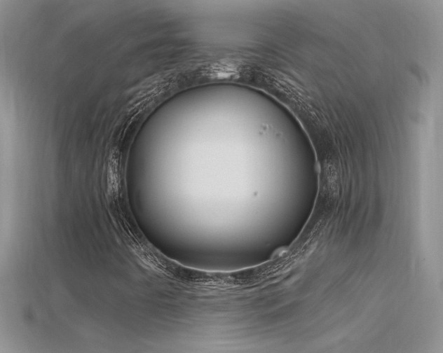 X0000115691442200911121257
