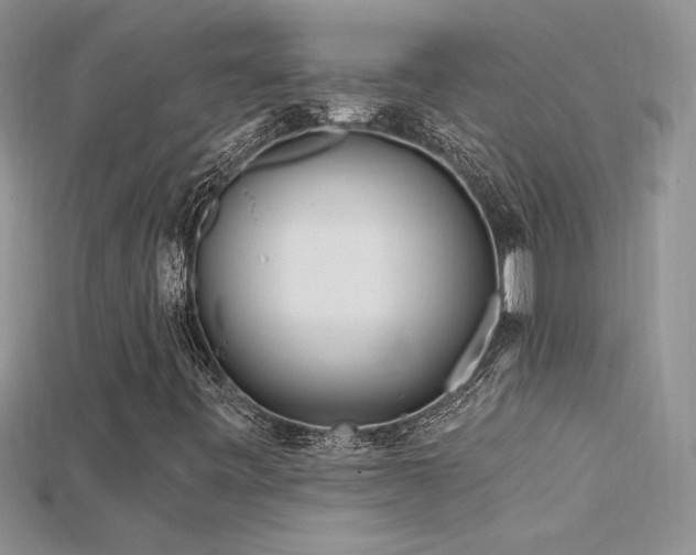 X0000115691443200911121257