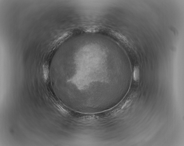 X0000115691444200911121257