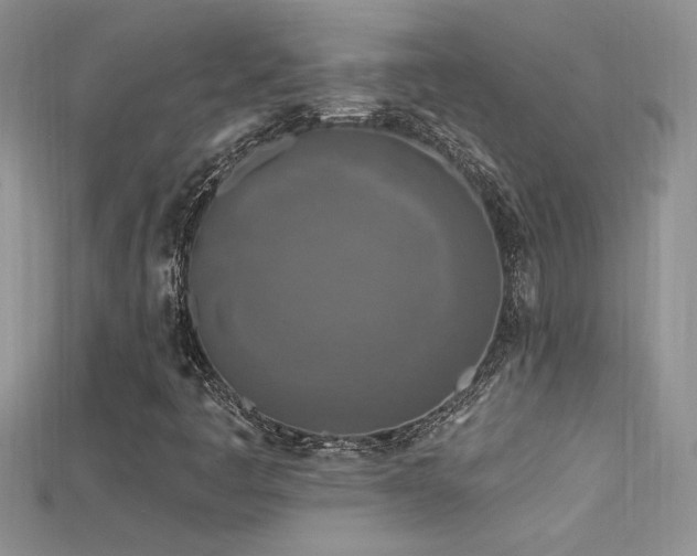 X0000115691445200911121257