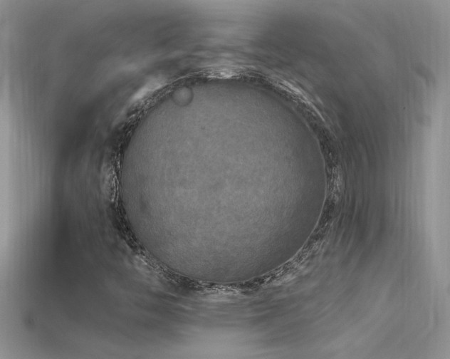 X0000115691446200911121257