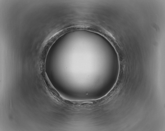 X0000115691448200911121257