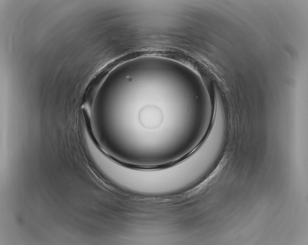 X0000115691449200911121257