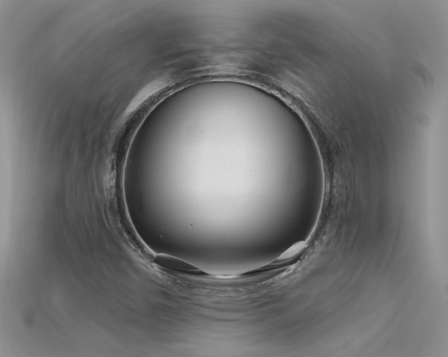 X0000115691450200911121257