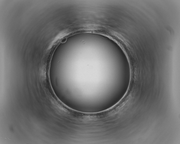 X0000115691451200911121257