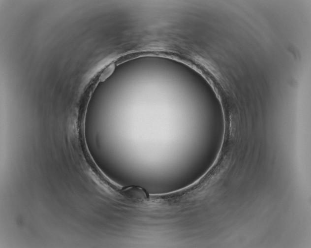 X0000115691452200911121257