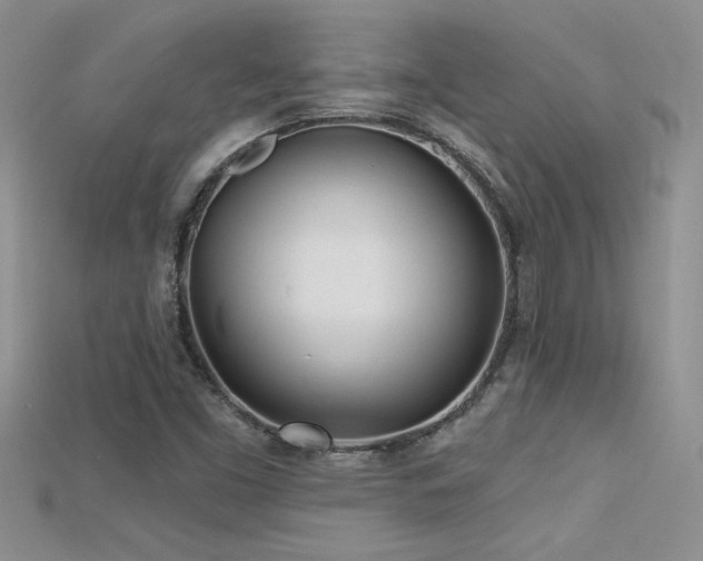 X0000115691453200911121257