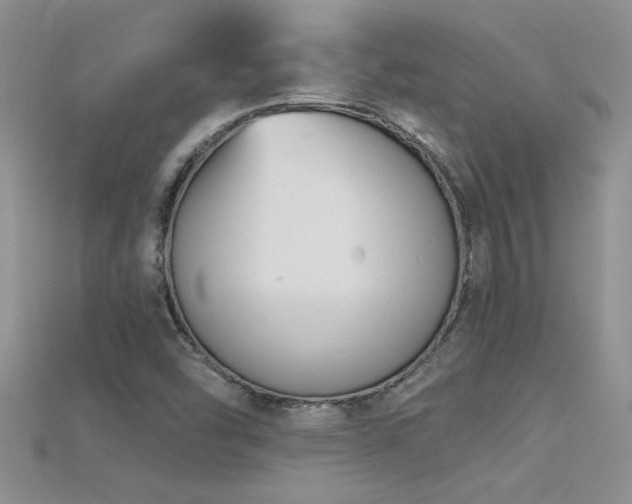 X0000115691454200911121257