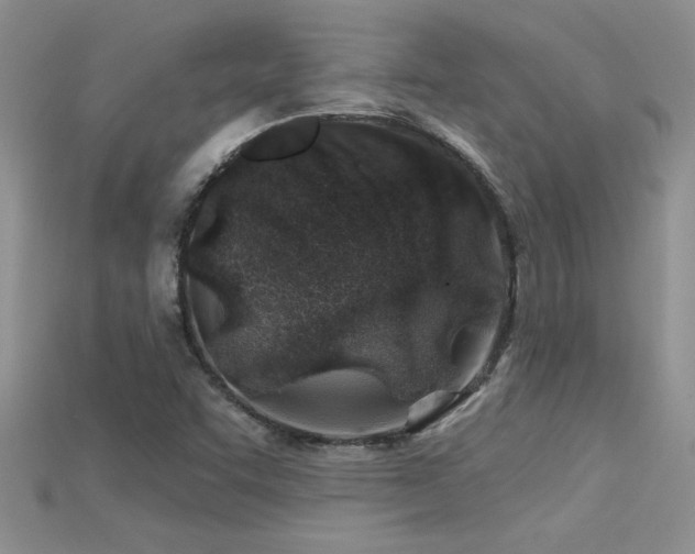 X0000115691455200911121257