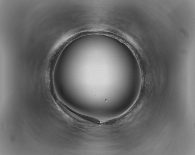 X0000115691456200911121257