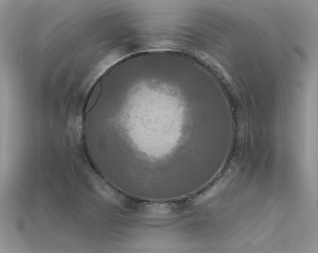 X0000115691457200911121257