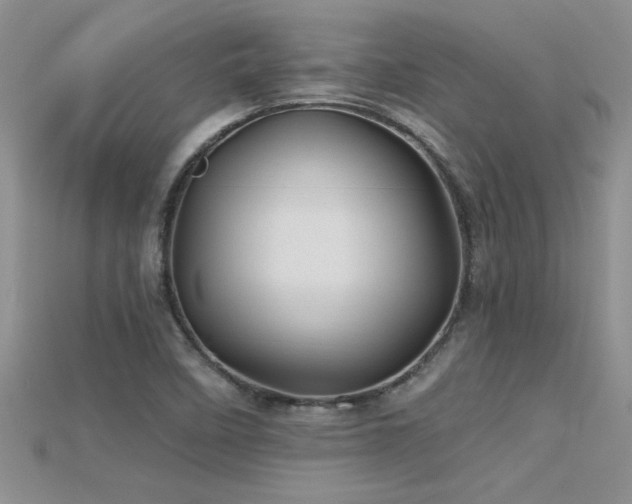 X0000115691458200911121257