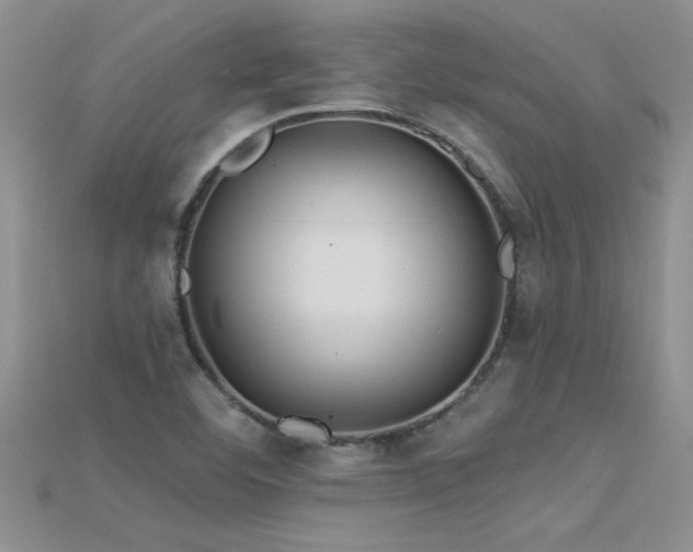 X0000115691460200911121257