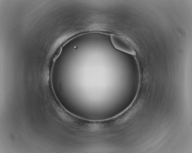 X0000115691461200911121257