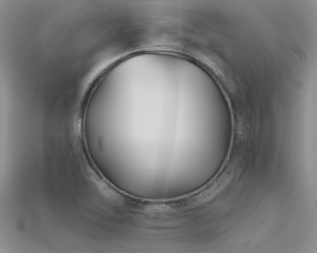 X0000115691462200911121257