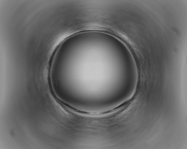 X0000115691463200911121257