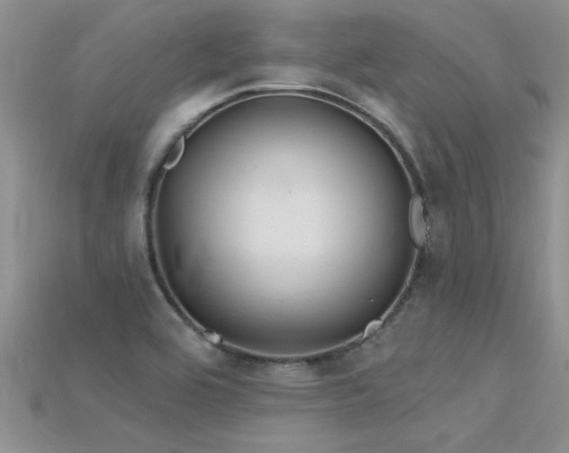 X0000115691464200911121257