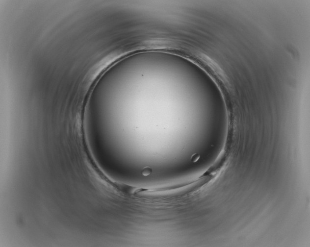 X0000115691465200911121257