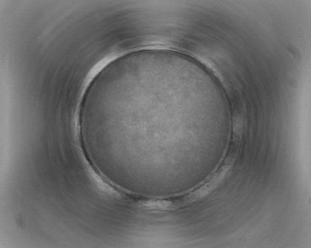 X0000115691466200911121257