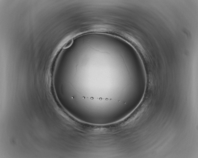 X0000115691467200911121257