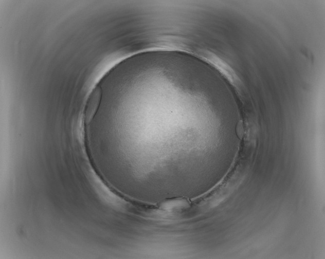 X0000115691468200911121257