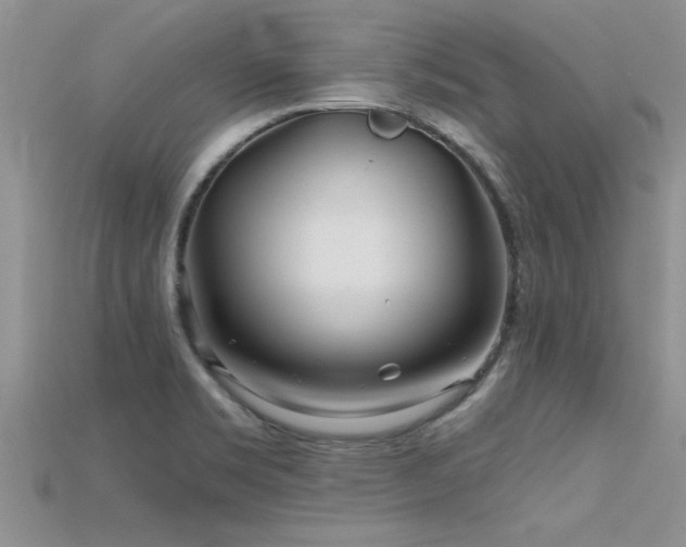X0000115691469200911121257