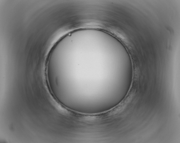 X0000115691470200911121257