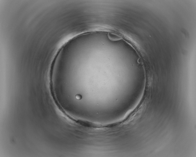 X0000115691471200911121257