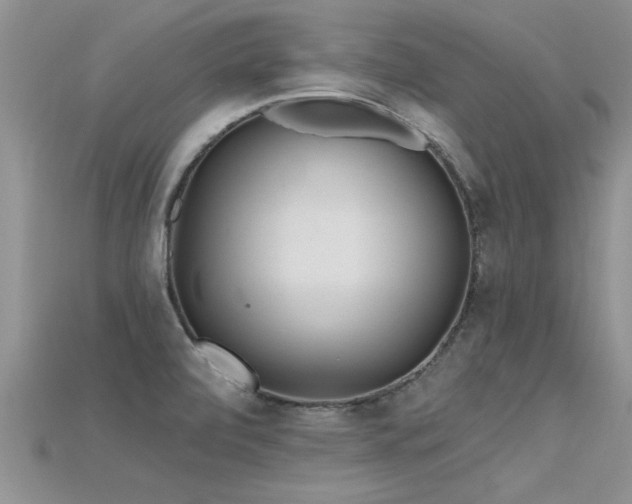 X0000115691472200911121257
