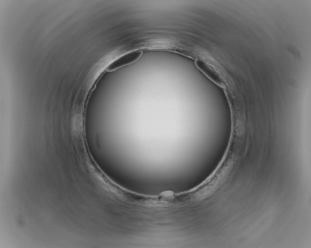 X0000115691473200911121257