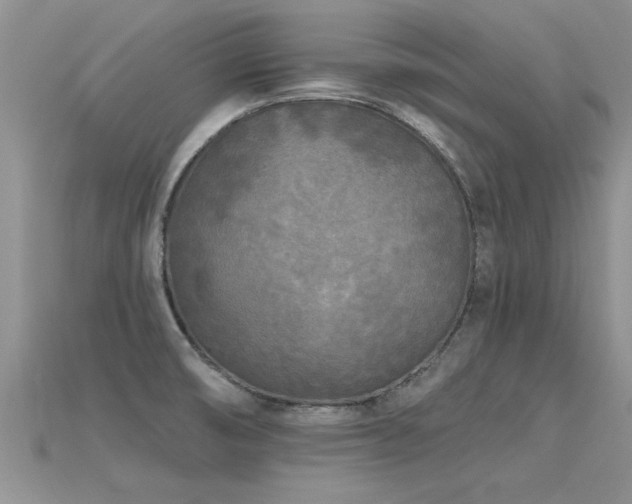 X0000115691474200911121257