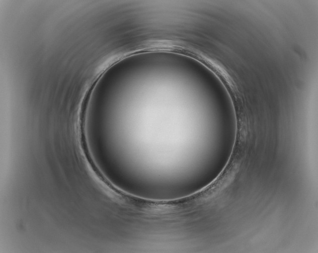 X0000115691475200911121257