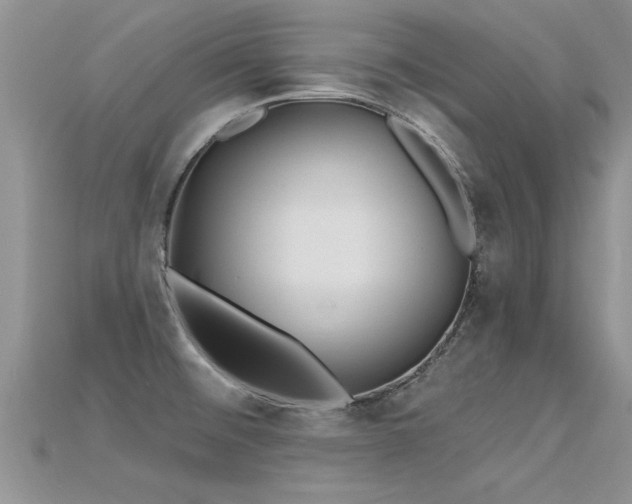 X0000115691476200911121257