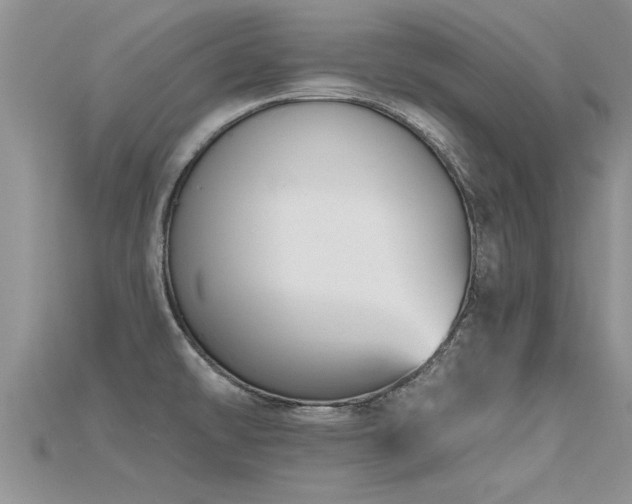 X0000115691478200911121257
