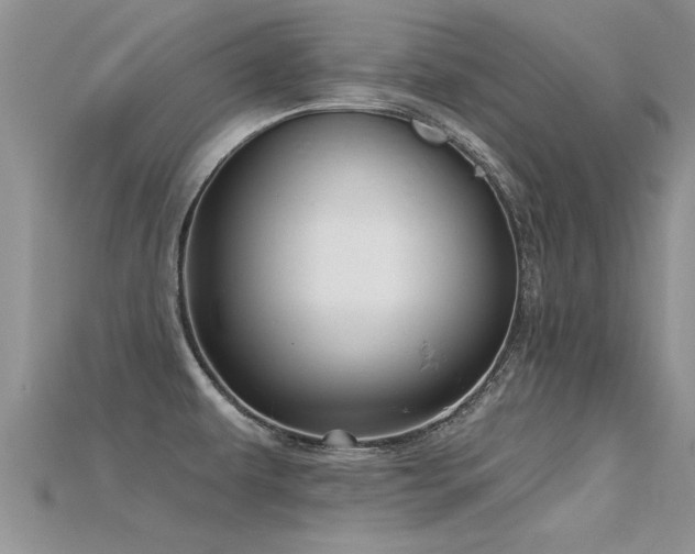 X0000115691479200911121257