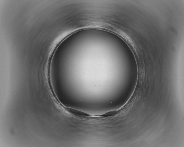 X0000115691480200911121257