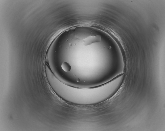X0000115691481200911121257
