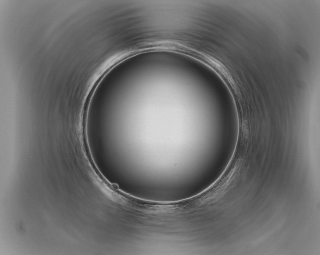 X0000115691482200911121257