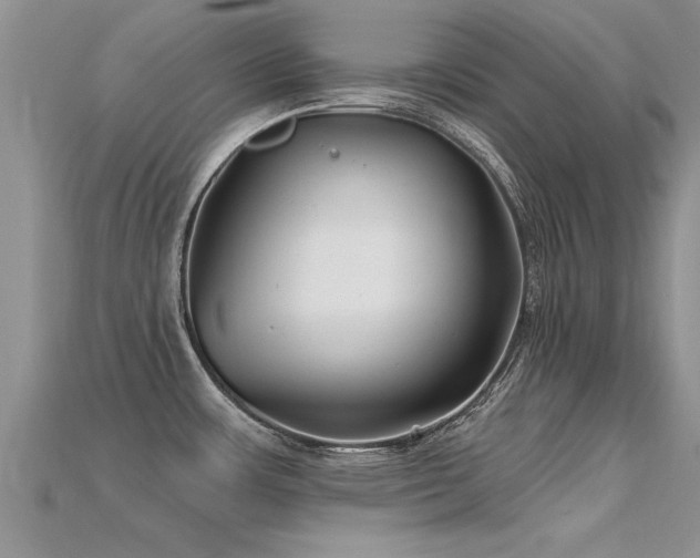 X0000115691483200911121257