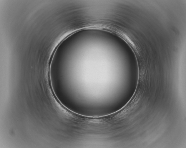X0000115691484200911121257