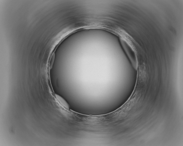 X0000115691485200911121257