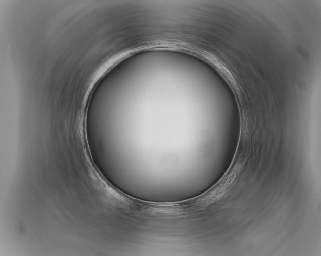 X0000115691486200911121257