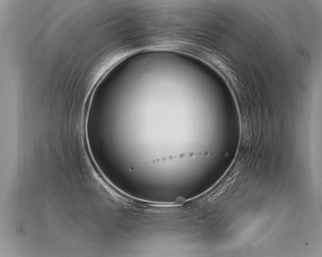 X0000115691487200911121257