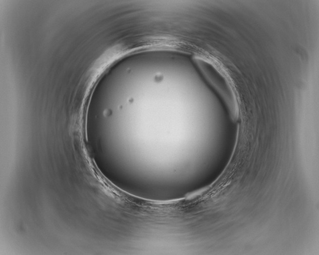 X0000115691488200911121257