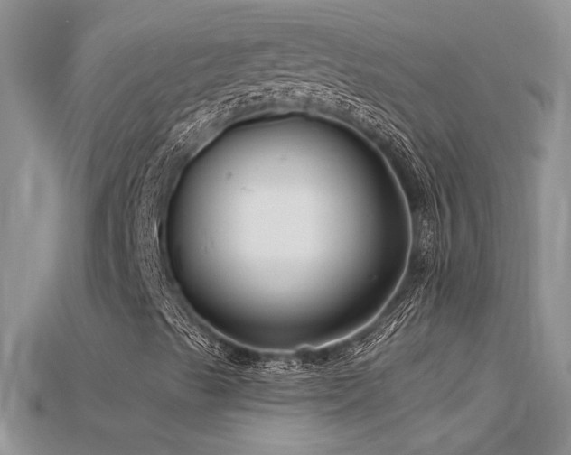 X0000115691489200911121256